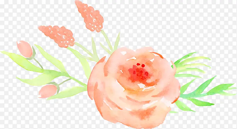 橙色玫瑰花装饰图案