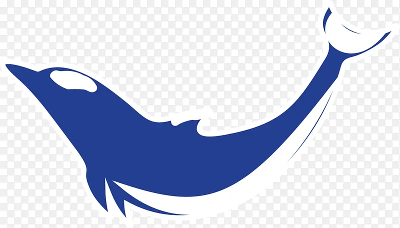 蓝色扁平游动海豚