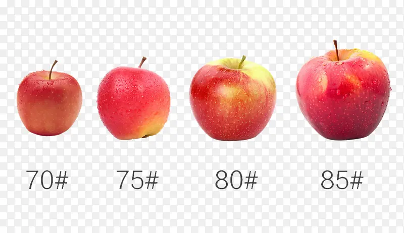 各种型号的苹果