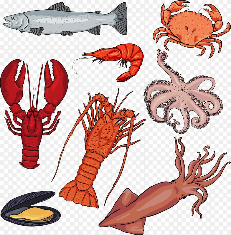 海洋动物图案