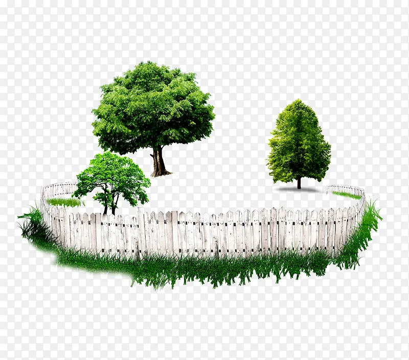 篱笆大树