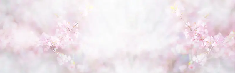 粉色樱花背景banner
