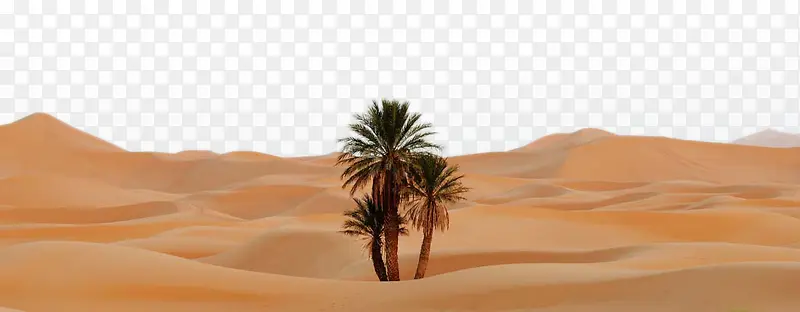 美丽的沙漠景色