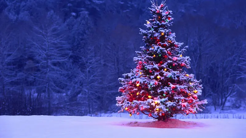 雪夜中的圣诞树海报背景
