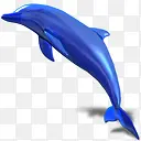 d3lphin海豚暗玻璃