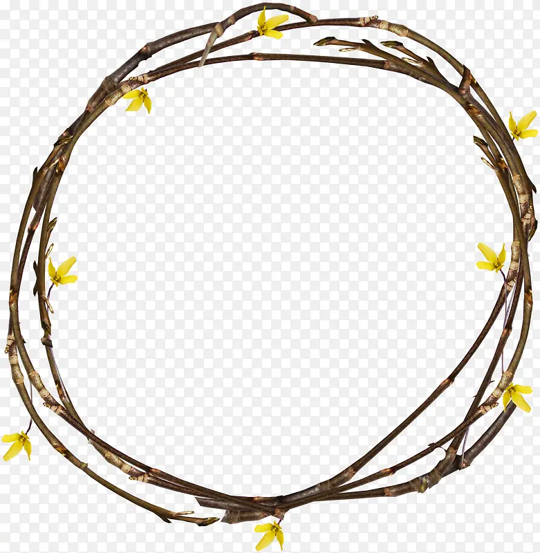 棕色花枝圆环