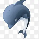 海豚animals-icon-set