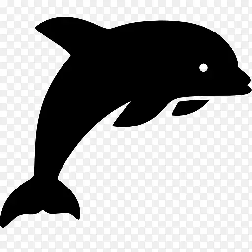 海豚Windows-8-icons