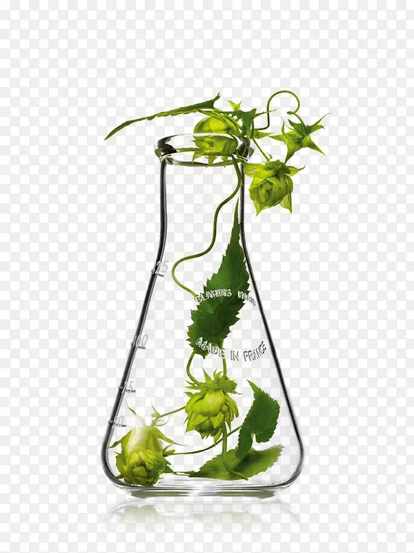 高清摄影水杯植物造型
