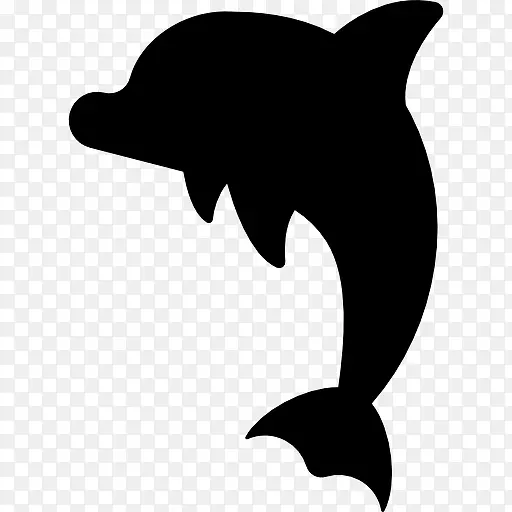 Dolphin 图标