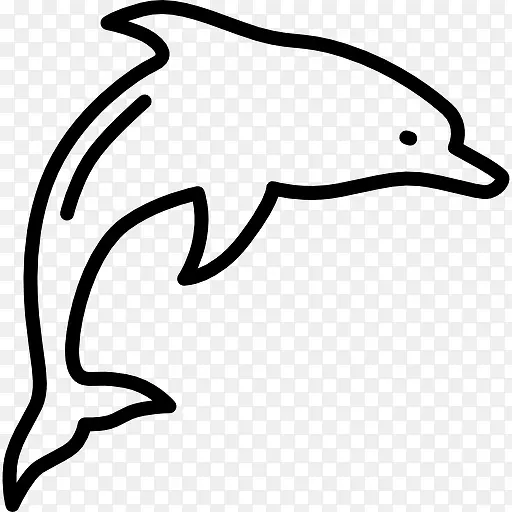 Dolphin Jimping 图标