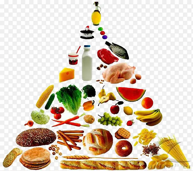食物金字塔