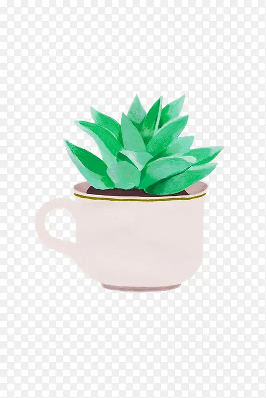 茶杯里的多肉
