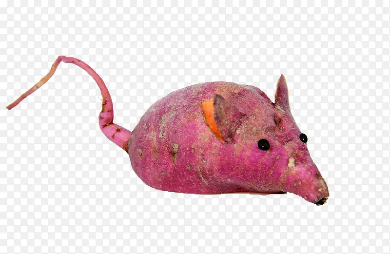 一只小老鼠红薯