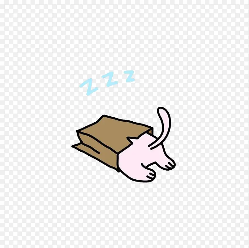 睡在包装袋里的小猫