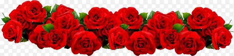 玫瑰花，红色玫瑰花，淘宝素材，