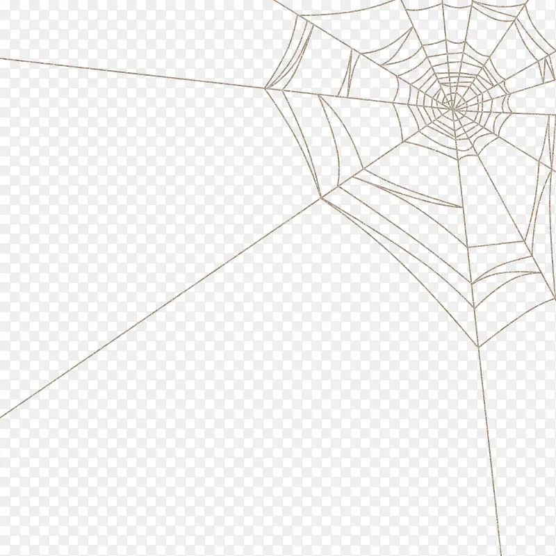 蜘蛛网图片蜘蛛网卡通