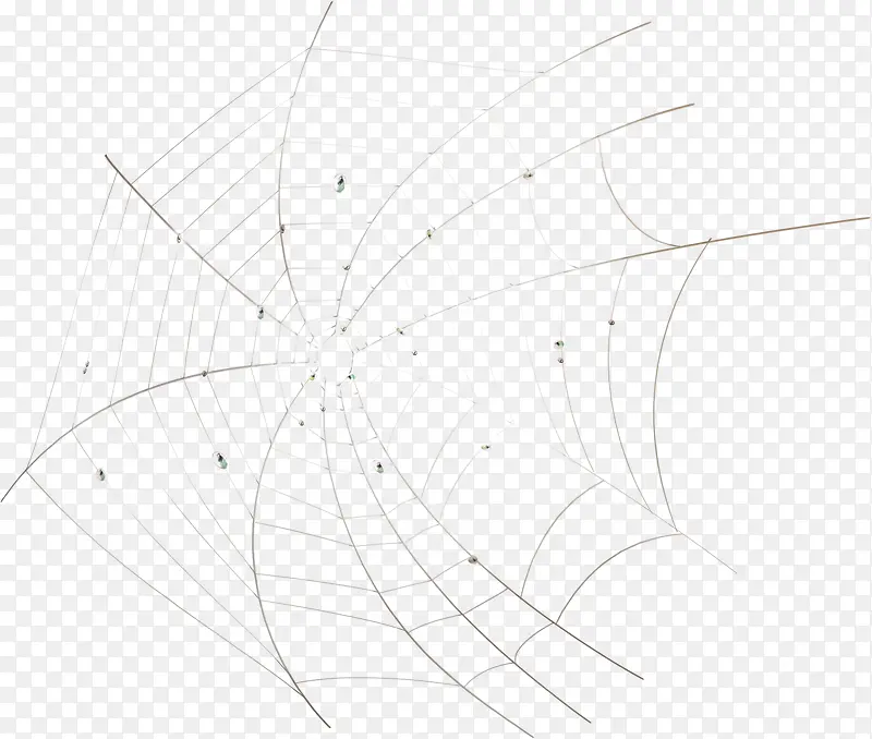 素描蜘蛛网图片素材