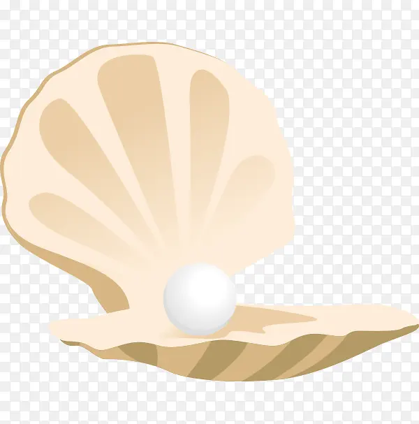 贝壳里的白色珍珠