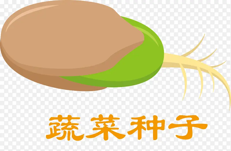种子线稿生菜种子