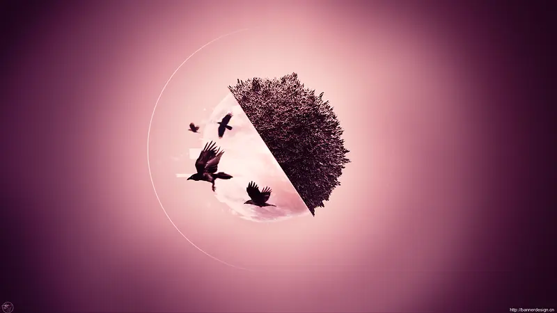淡红色虚化宽屏背景