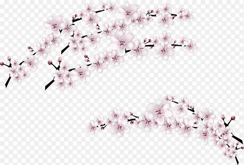 矢量手绘桃花树枝PNG图片素材下载_图片编号yrmvxmmo-免抠素材网