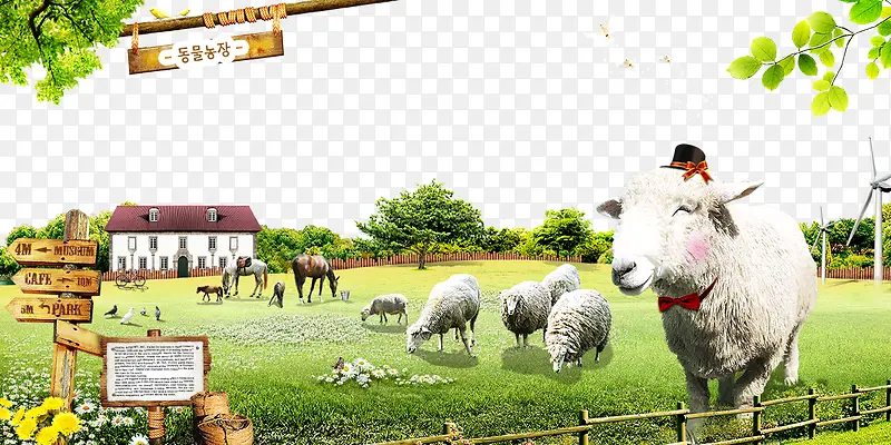 圈养起来的绵羊
