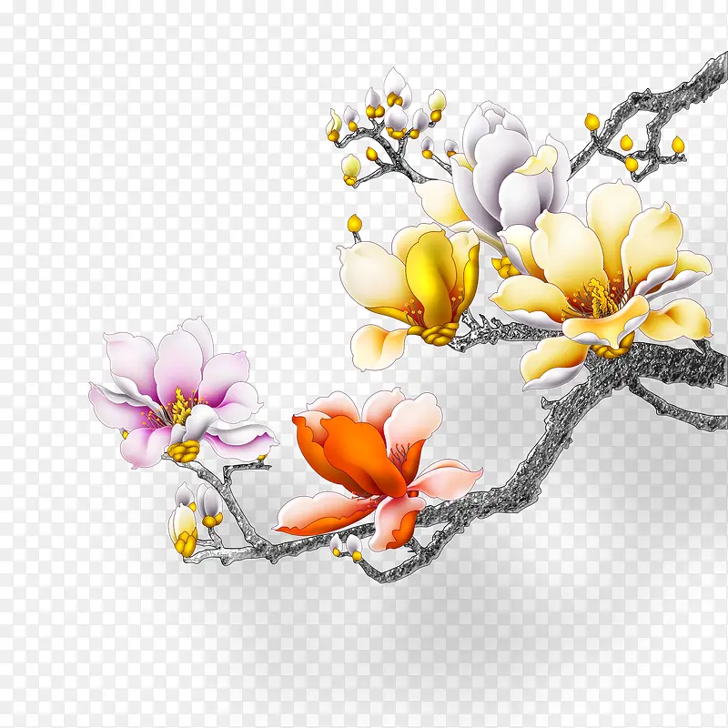 花枝PNG图片素材下载_图片编号qlvbkmoa-免抠素材网