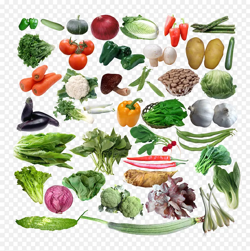 各类蔬菜合集图片