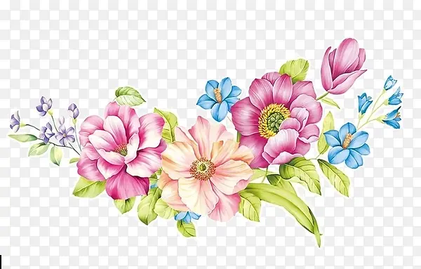 彩色花卉