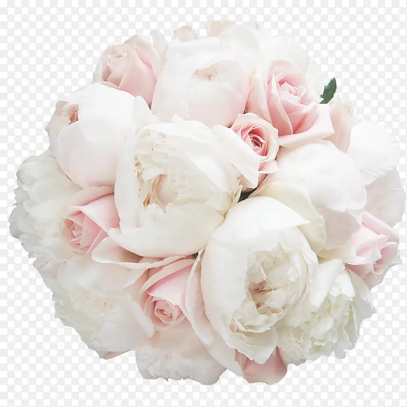 一束白色粉红玫瑰花