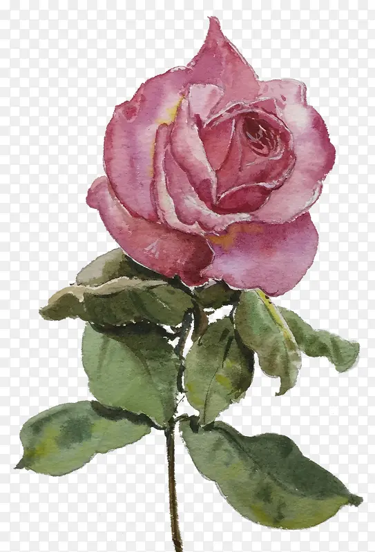 免抠手绘玫瑰花装饰图案