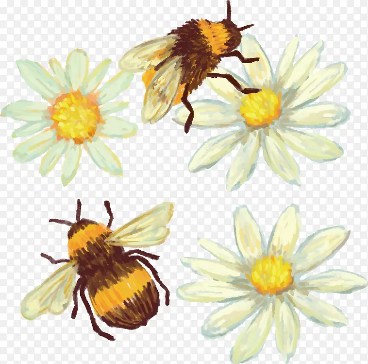 矢量手绘蜜蜂花朵