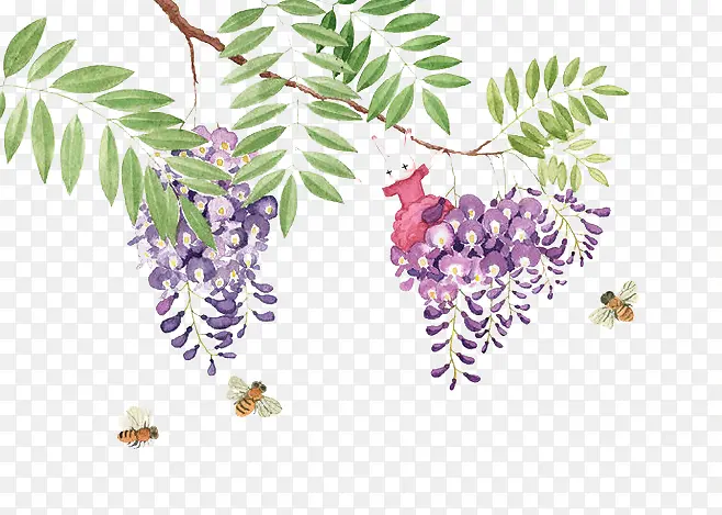 紫藤花与蜜蜂图片素材