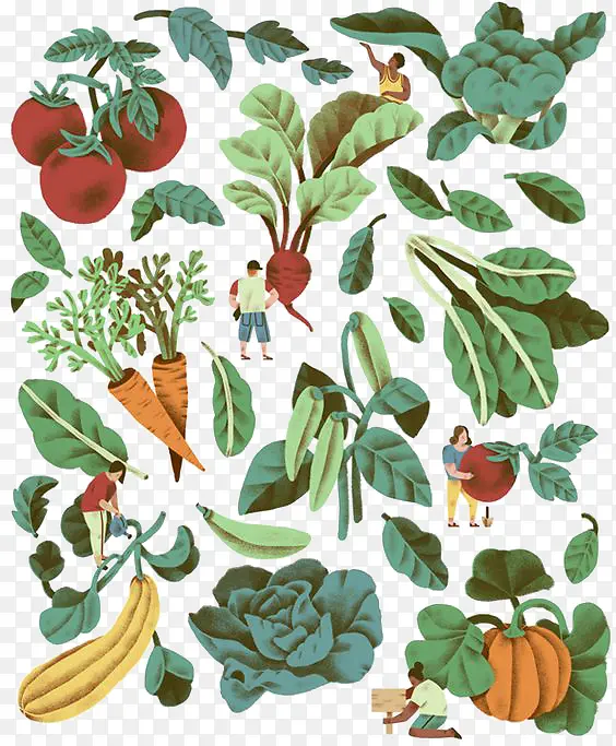 蔬菜底纹
