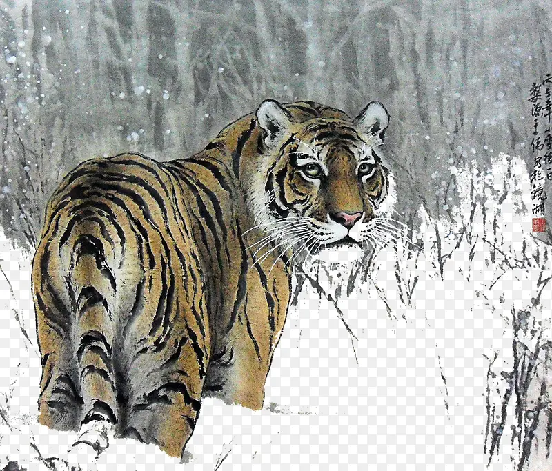 雪地的老虎