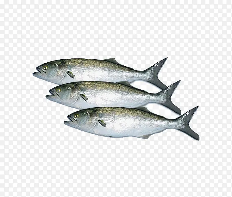 三条鱼简图
