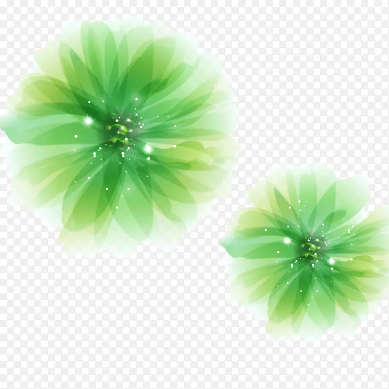 绿色晶莹花朵