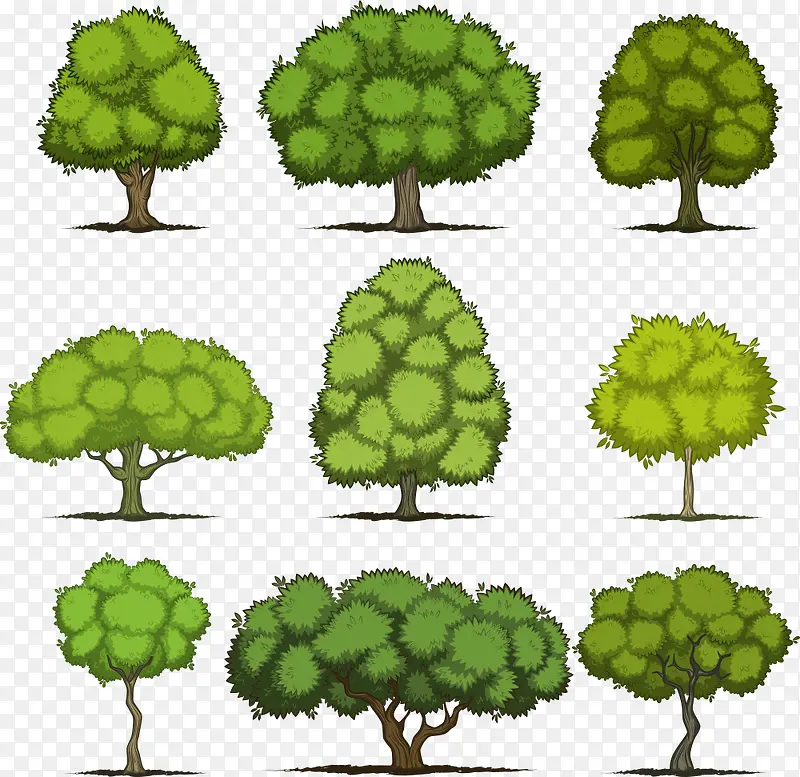矢量树木