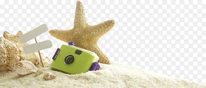 沙滩上的海星贝壳相机