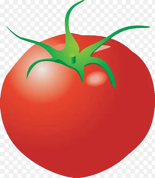诱惑人的番茄