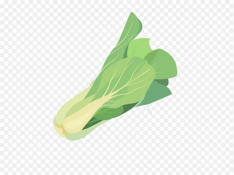 蔬菜