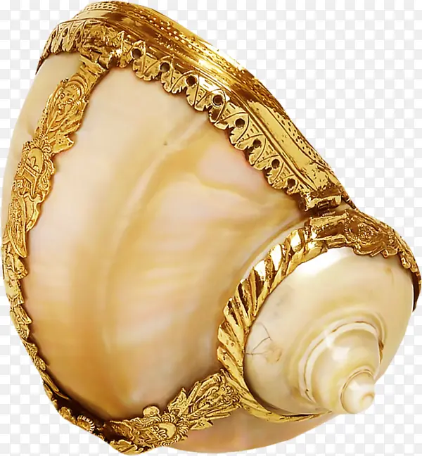 戴装饰的金色蜗牛