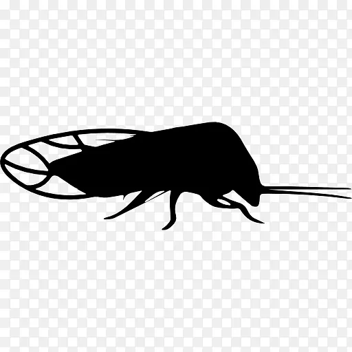 昆虫形状的木虱图标
