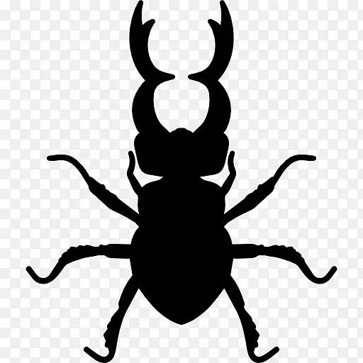 鹿角甲虫昆虫动物形状图标