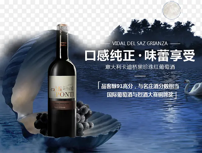 红酒海洋贝壳背景