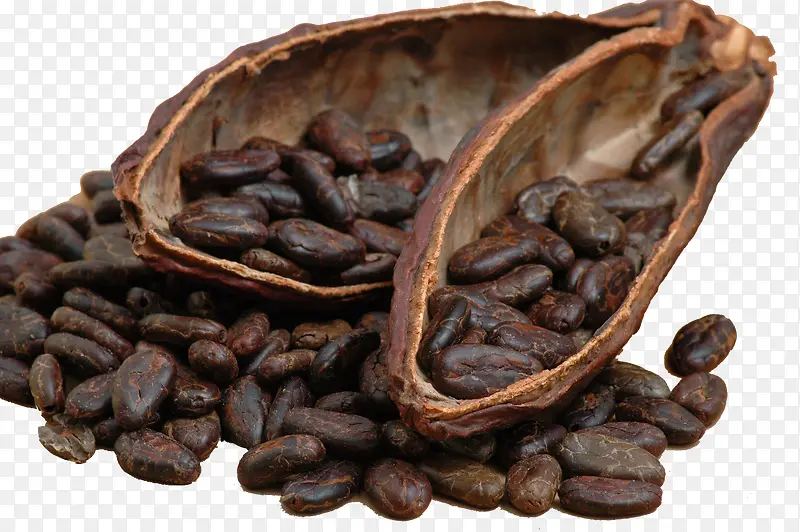 咖啡籽