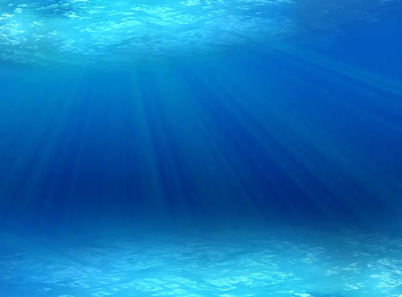 海底世界水下摄影