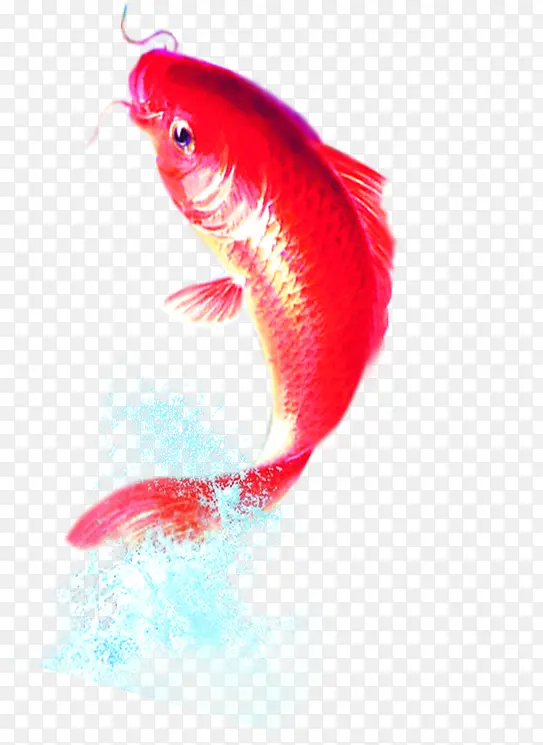 红色金鱼设计高清