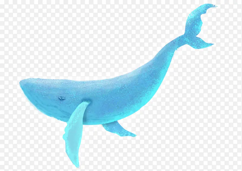 手绘水彩装饰插画海洋生物鲸鱼插